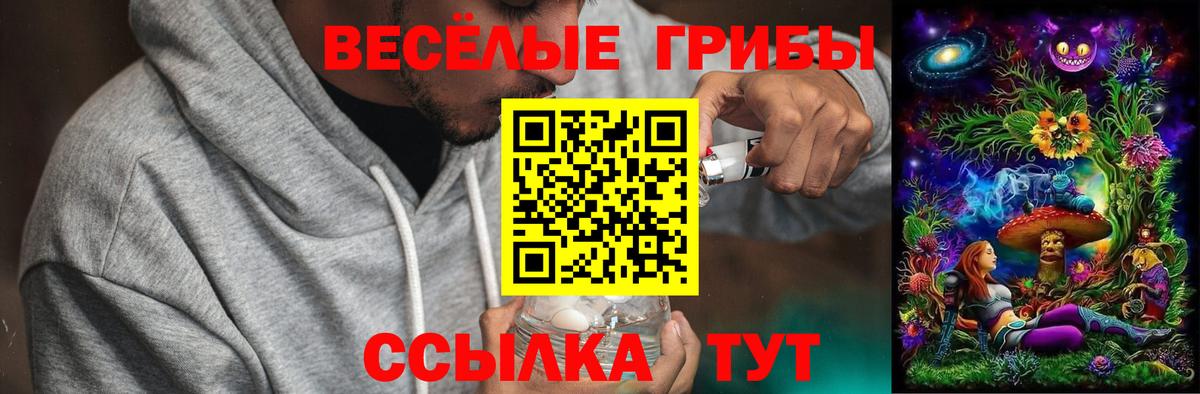 Псилоцибиновые грибы MAGIC MUSHROOMS  Галлюциногенные грибы мицелий  Йошкар-Ола  Вход с VPN 